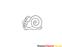 Escargot images gratuites – Animal à colorier