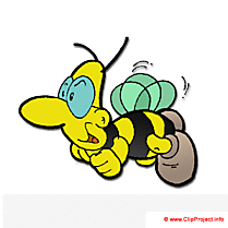 Clip art gratuit abeille