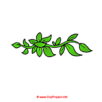 Branche arbre clipart gratuit