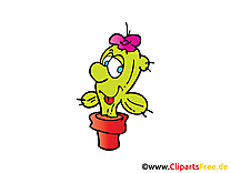 Cactus clip arts gratuits - Pot illustrations