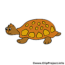 Tortue cliparts gratuis - Animal images gratuites