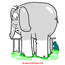 Éléphant clipart gratuite