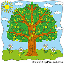 Été illustration gratuite – Arbre clipart