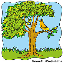 Oiseau arbre images gratuites – Été clipart