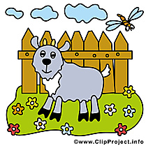 Bouc clipart gratuit – Ferme images