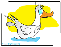 Canard clip arts gratuits – Ferme illustrations