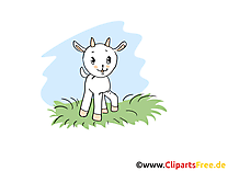 Chevreau clipart – Ferme dessins gratuits