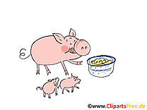 Clip art cochons – Ferme gratuite