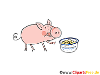 Clip art gratuit cochon – Ferme dessin