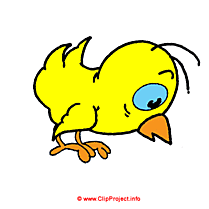 Clipart gratuit poulet