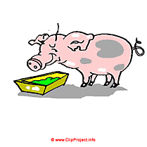 Cochon clip art gratuit