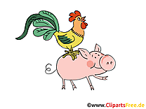 Cochon coq images – Ferme dessins gratuits