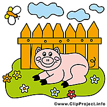 Cochon dessins gratuits – Ferme clipart