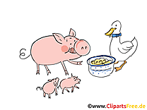 Cochon images – Ferme dessins gratuits
