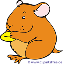 Hamster clip art gratuit – Ferme images