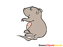 Hamster clipart gratuit – Ferme images