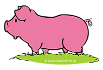 Images gratuites cochons – Ferme clipart