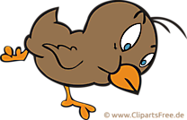 Images gratuites poussin – Ferme clipart