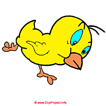 Petit poulet clipart gratuit