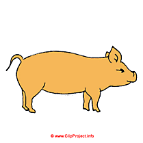 Porc clipart gratuit