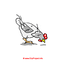 Poule image clipart gratuit