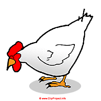 Poulet clipart