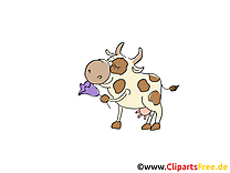 Vache dessins gratuits – Ferme clipart