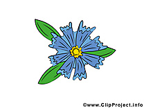 Bleuet clip art gratuit – Fleurs dessin