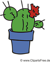 Cactus clipart gratuit – Fleurs images