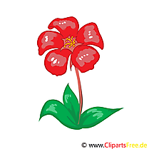 Dessin fleur rouge clip arts gratuits