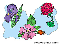 Fleurs clip art gratuit dessin