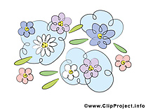 Floraison dessin gratuit – Fleurs image