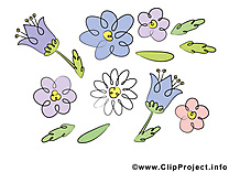 Floraison image à télécharger – Fleurs clipart