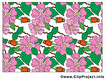 Fonds d'écran image – Fleurs images cliparts