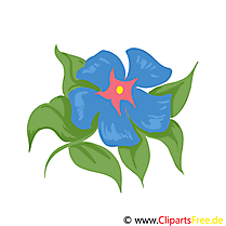 Illustration fleurs images gratuites à télécharger