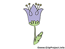 Image à télécharger fleurs clipart