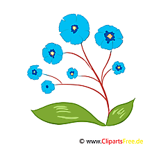 Images gratuites à télécharger fleurs clipart
