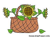 Panier clipart – Fleurs dessins gratuits