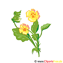 Pensée fleurs illustration à télécharger gratuite