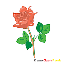 Rose dessin gratuit – Fleurs image