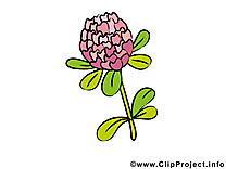 Trèfle clip arts gratuits – Fleurs illustrations