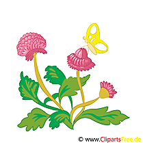 Trèfle clipart – Fleurs dessins gratuits