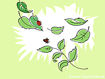 Feuilles image - Fonds d'écran clipart