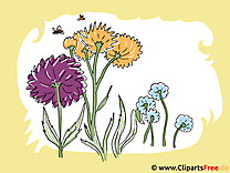 Fleurs image gratuite - Fonds d'écran illustration