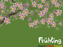 Floraison images gratuites – Fonds d'écran gratuit