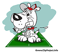 Chien dessins gratuits - Football clipart