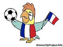 Football championnat France clipart image