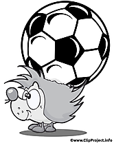 Hérisson image à télécharger - Football clipart