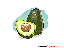 Avocado dessin à télécharger - Fruits images