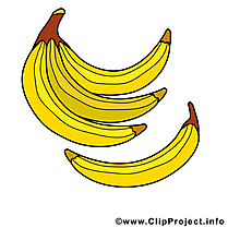 Bananes dessin - Fruits à télécharger